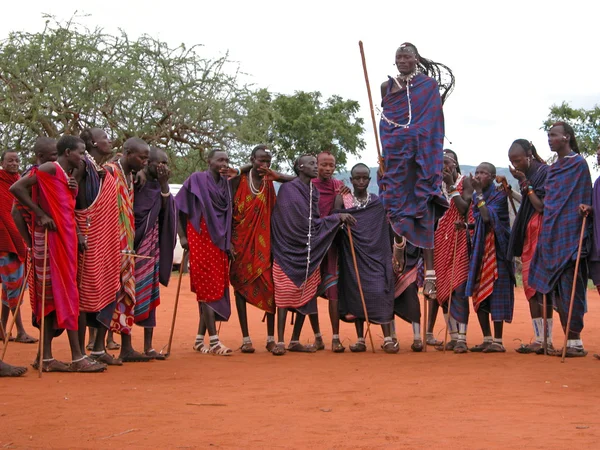 Massai danza di benvenuto — Foto Stock