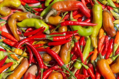 Kırmızı biberler uzun vadede korunmak için güneşte kurutulur..
