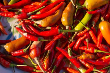 Kırmızı biberler uzun vadede korunmak için güneşte kurutulur..