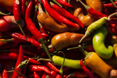 Kırmızı biberler uzun vadede korunmak için güneşte kurutulur..