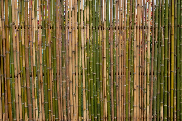 Bamboo Fence Keep Pets Out Area — Photo