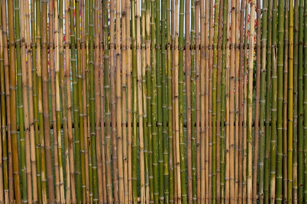 Bamboo Fence Keep Pets Out Area — стоковое фото