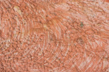 grunge doku arkaplanı, soyut desen, 3d görüntüleme, boşluğu kopyala