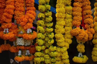 Brahmin ve Hindulara göre kutsal şeylere tapınmak için sarı kadife çiçeği çelengi..