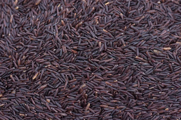 Пурпурное Рисовое Зерно Органический Рис Еда Любителей Здоровья — стоковое фото