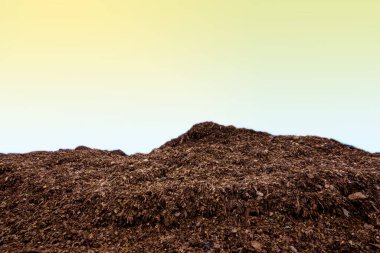 Bir çöp dağı, kentsel topluluklardan gelen plastik atık yığını ve çürümeyen büyük sanayi bölgeleri..