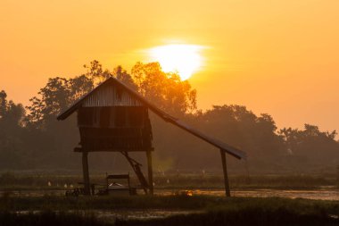 A hut in the middle of the flooded area and the morning sun