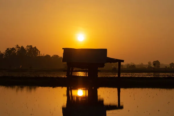 Hut Middle Flooded Area Morning Sun — Fotografia de Stock