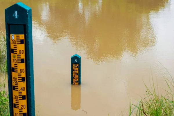 Water Level Pole Placed Edge Water Murky — Photo