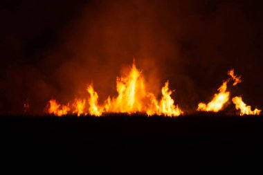 The flames were burning violently in the night fields.