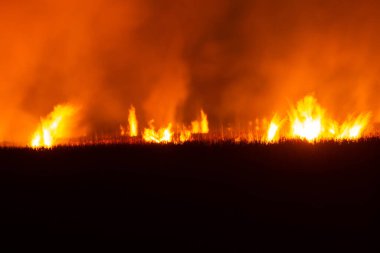 The flames were burning violently in the night fields.