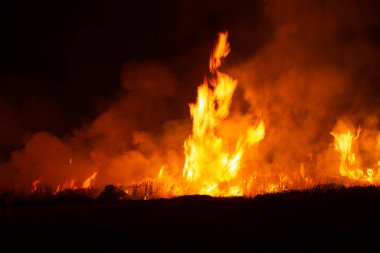 The flames were burning violently in the night fields.