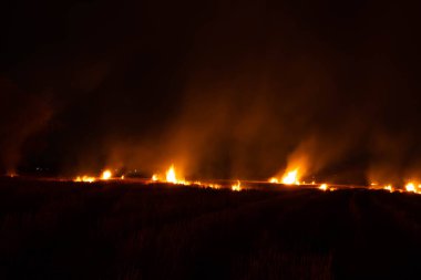 The flames were burning violently in the night fields.