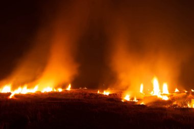 The flames were burning violently in the night fields.