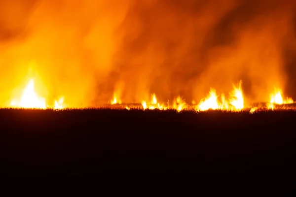Flames Were Burning Violently Night Fields — Stok fotoğraf
