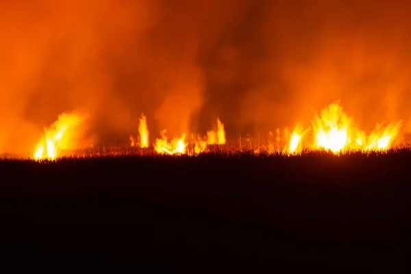 Flames Were Burning Violently Night Fields — Stock fotografie