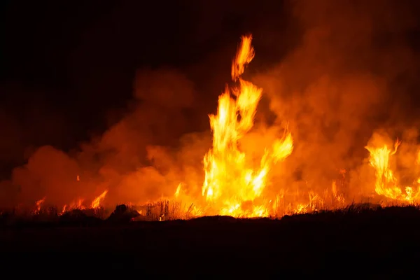 Flames Were Burning Violently Night Fields — Stok fotoğraf