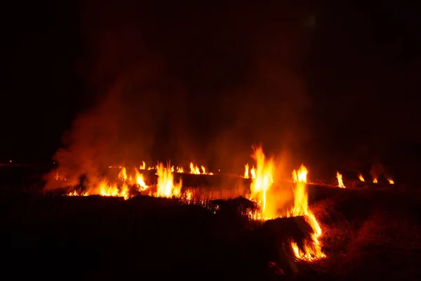 Flames Were Burning Violently Night Fields — Foto de Stock
