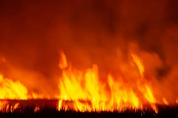 Flames Were Burning Violently Night Fields — Fotografia de Stock
