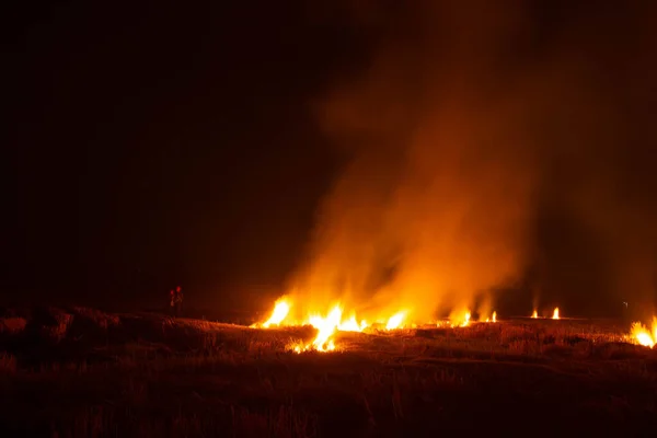 Flames Were Burning Violently Night Fields — Foto de Stock