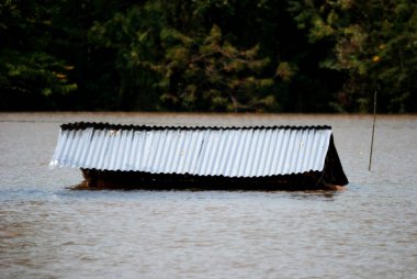 Şiddetli yağmur, orman akmış ve çiftçilerin evlerini ve tarlalarını sel basmış, hızlı hasara yol açmış..