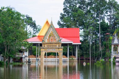 Şiddetli yağmur, orman akmış ve çiftçilerin evlerini ve tarlalarını sel basmış, hızlı hasara yol açmış..