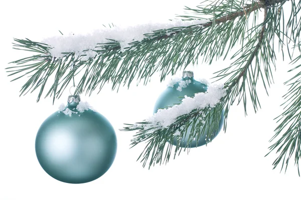 Christmas decoration ball and fir branch — Stock Photo, Image