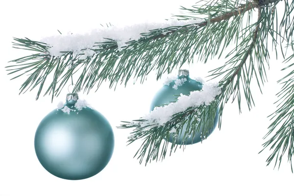Christmas decoration ball and fir branch Stock Image