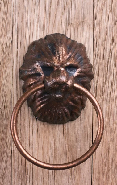 Old door handle, a lion — Stock Photo, Image