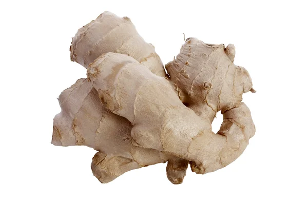 Ginger root — Stock Photo, Image