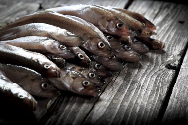 ham sığ tuzlu balıklar - kokusu.