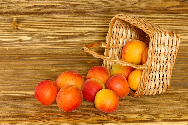 Ripe apricots scattered from a basket — Stock Photo, Image