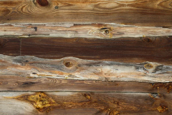 배경-오래 된 소나무 — 스톡 사진