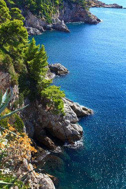 kayalar ve deniz Dobruca