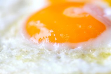 sahanda yumurta portre