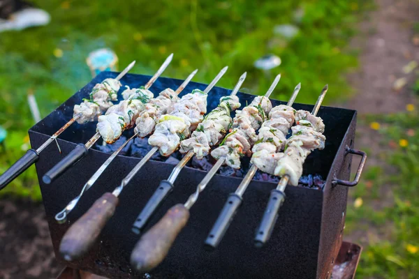 Pork meat (shashlik) on grill in a smoke Stock Picture