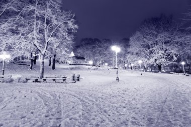 riga, Letonya-kış geceleri Central Park'ta