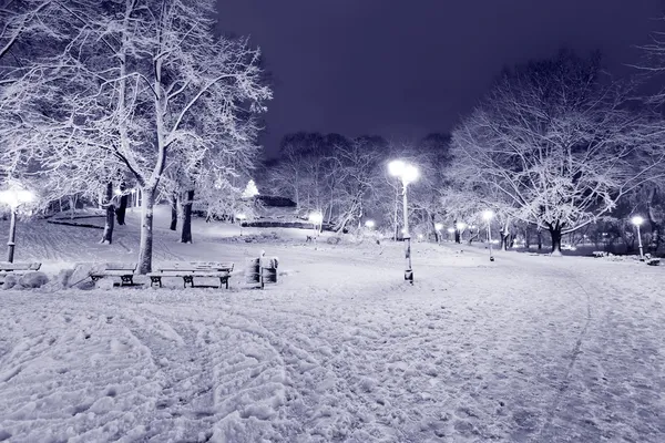 riga, Letonya-kış geceleri Central Park'ta
