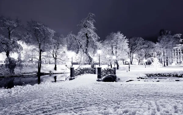 Central park in riga, Letland in de winternacht — Stockfoto