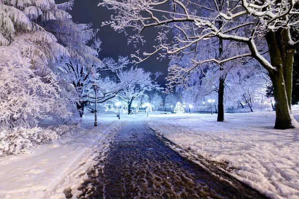 Central park em Riga, Letônia na noite de inverno — Fotografia de Stock