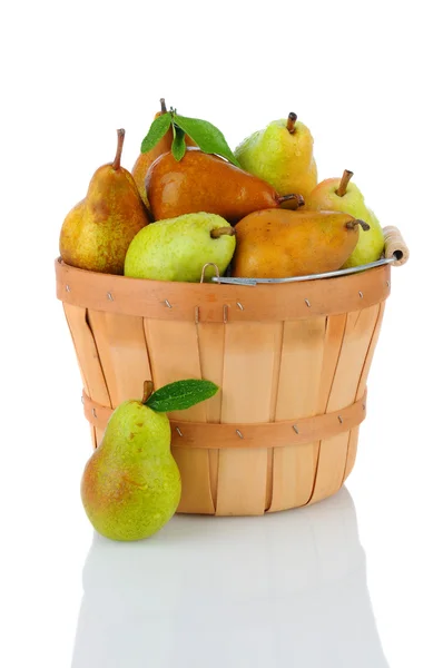 Bartlett and Bosc Pears in Basket — Stock Photo, Image