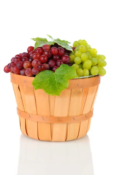 Cesta de uvas surtidas — Foto de Stock