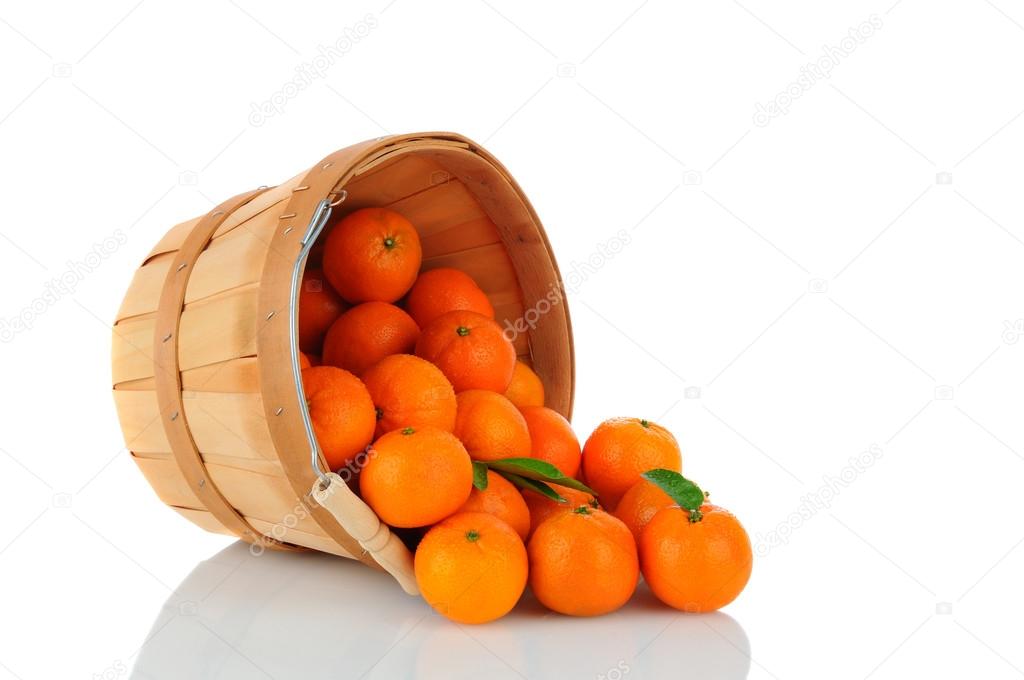 Basket of Clementines