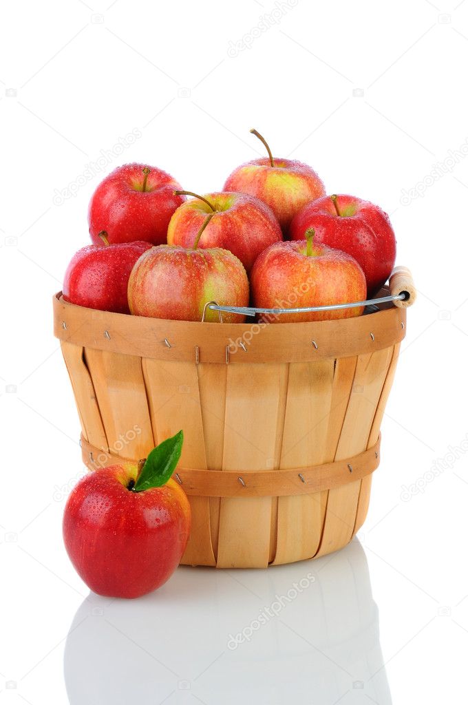 Gala Apples in a Basket