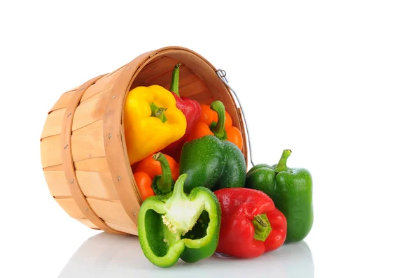 Basket of Bell Peppers — Stock Photo, Image