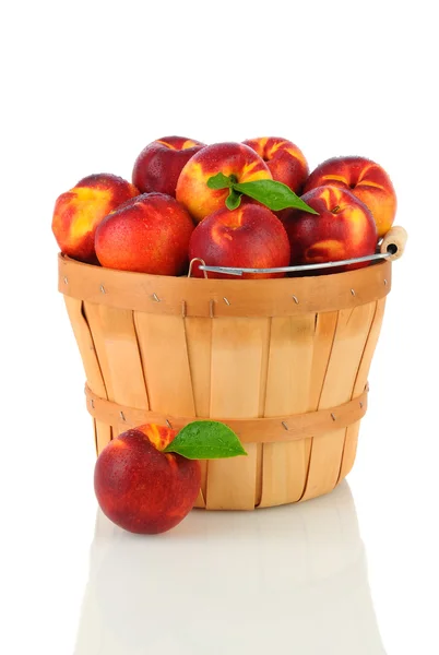 Nectarines in Basket — Stock Photo, Image