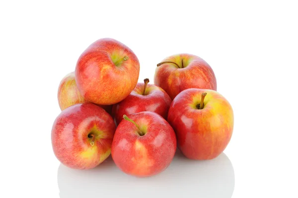 Gala appels op wit — Stockfoto
