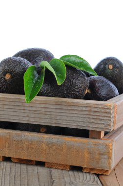 Crate of Hass Avocados clipart