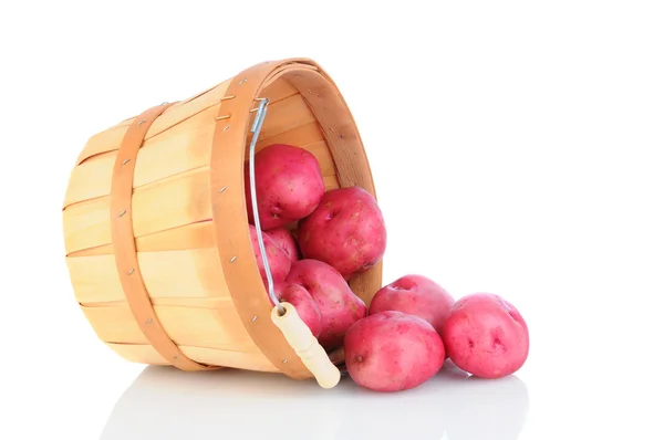 Déversement de panier de pommes de terre rouges sur blanc — Photo