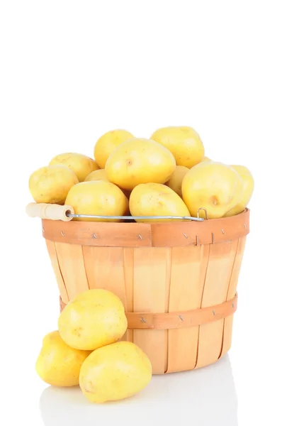 Korb voller weißer Kartoffeln — Stockfoto